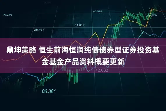 鼎坤策略 恒生前海恒润纯债债券型证券投资基金基金产品资料概要更新