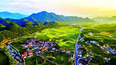 星速优配  浙江省杭州市临安区於潜镇光明村：撂荒地转出共富田