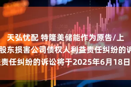 天弘忧配 特隆美储能作为原告/上诉人的1起涉及股东损害公司债权人利益责任纠纷的诉讼将于2025年6月18日开庭